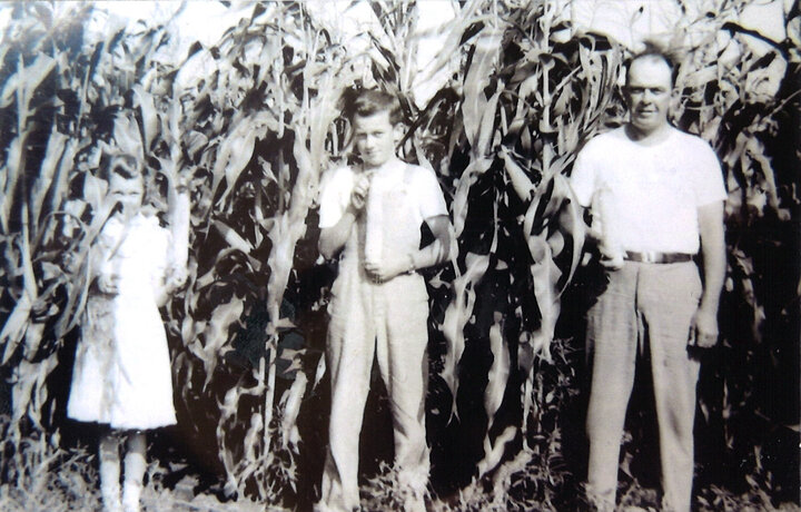 three members of Carlson family standing at edge of corn field in 1947