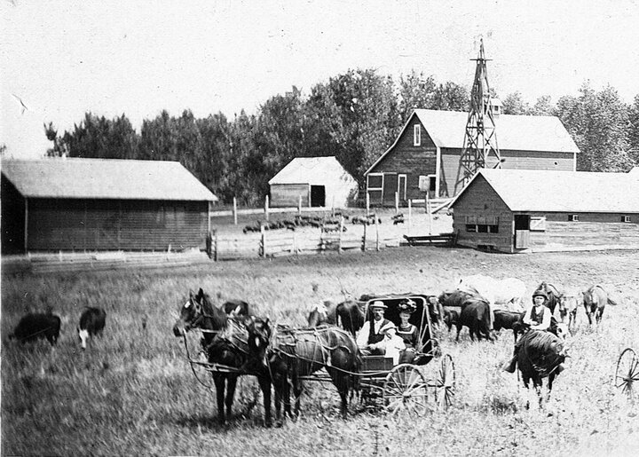 August Gerkins, Matilda Gerkins, Minnie Voight, and Ferd Gerkins pose for a picture with the farm’s livestock around 1900