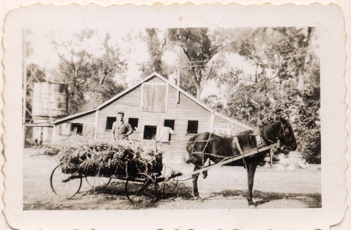 Merle Gerkins and horse, Lady, stand with a wagon of hay in 1940